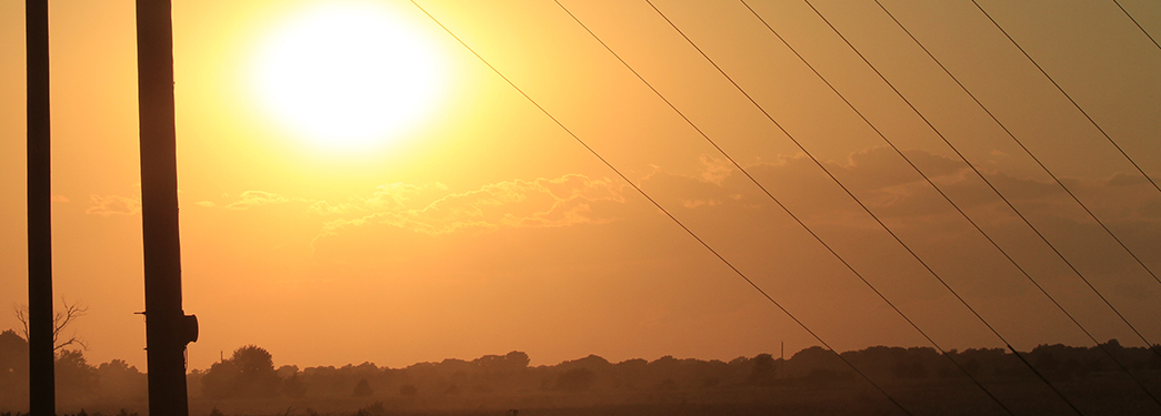 Panoramic view of sunrise over trees
