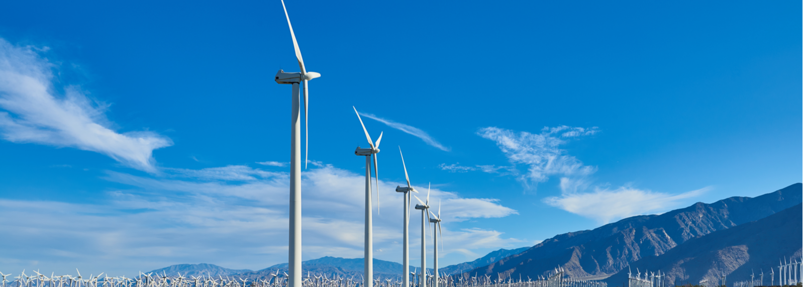 A windmill farm