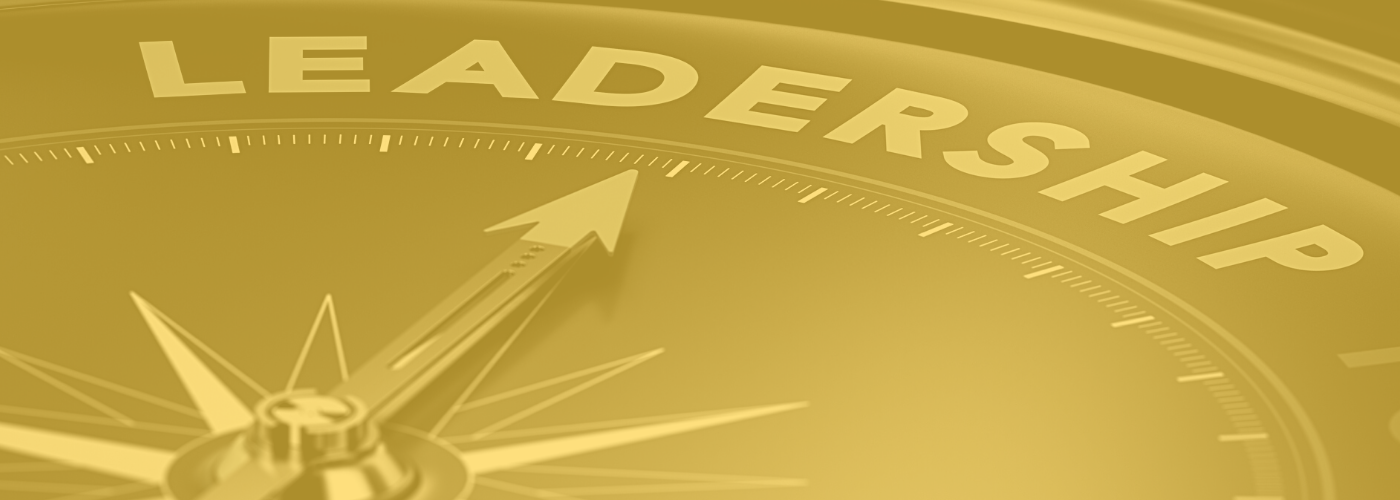 leadership icon